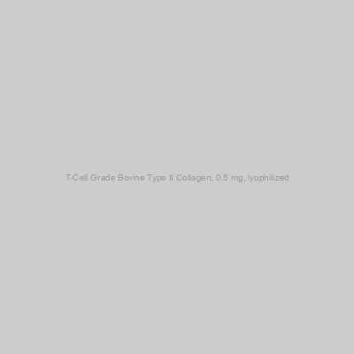 Chondrex - T-Cell Grade Bovine Type II Collagen, 0.5 mg, lyophilized